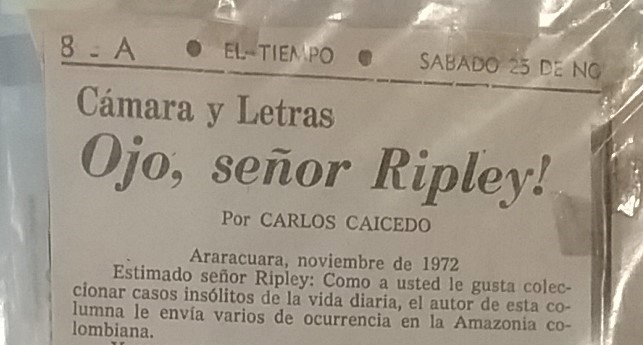 Detalle de la columna ”Ojo, señor Ripley!” de Carlos Caicedo. Publicada en El Tiempo, 25 de noviembre de 1972, 8A. Archivo Familia Caicedo.