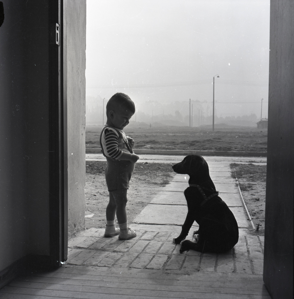 Niño Felipe. Bogotá 1962. Negativo 6x6cm.