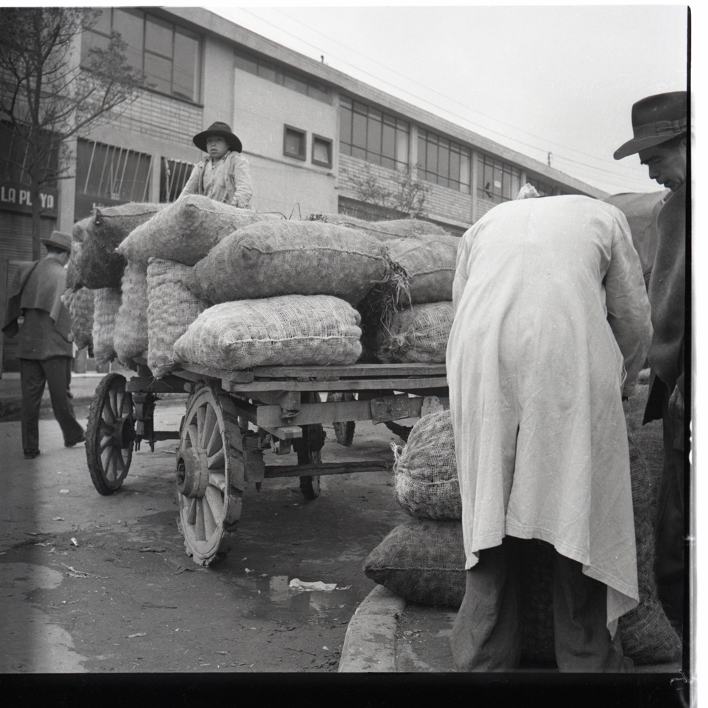 El niño y las papas. Bogotá 1956. Negativo 6x6cm.