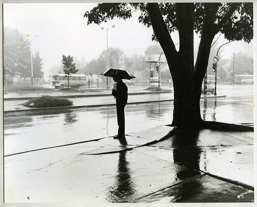 La lluvia fue uno de los temas predilectos de Caicedo. En esta foto captura a un bogotano solitario debajo de un paraguas. El contraste de la silueta del hombre junto al árbol que lo acompaña y el reflejo producido por la lluvia hacen de esta fotografía una imagen casi que icónica de una sitación cotidiana en Bogotá.